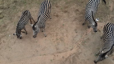 Photos of Big Tuskers Bushcamp