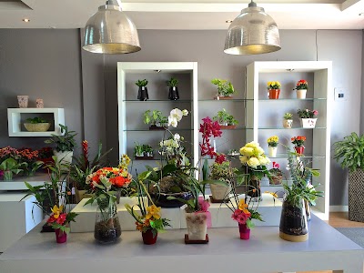 Photos of Espacio Verde