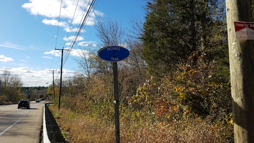 Pachaug State Forest Gallery - United States