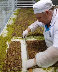 Photo n°40 de Le Jardin D´Eden à Caen (Épicerie fine)