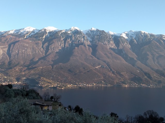 Tremosine