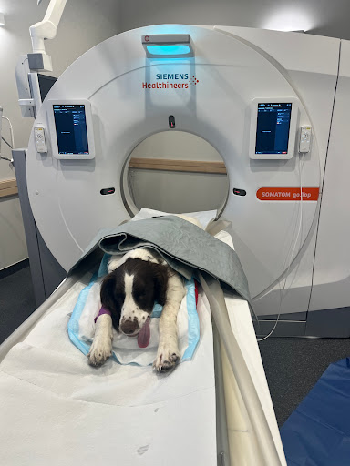 West Melton Vet Centre - Thumbnail