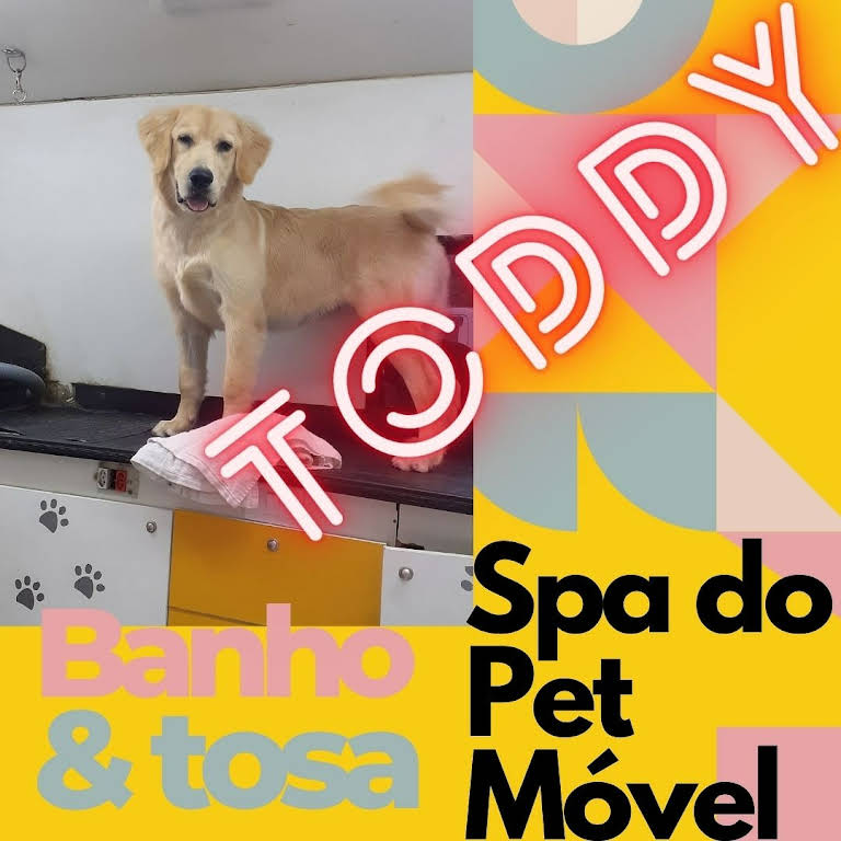Pet Shop Perto de Mim Banho e Tosa Centro de Toledo - Banho e Tosa