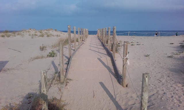 Platja de la Gola del Ter