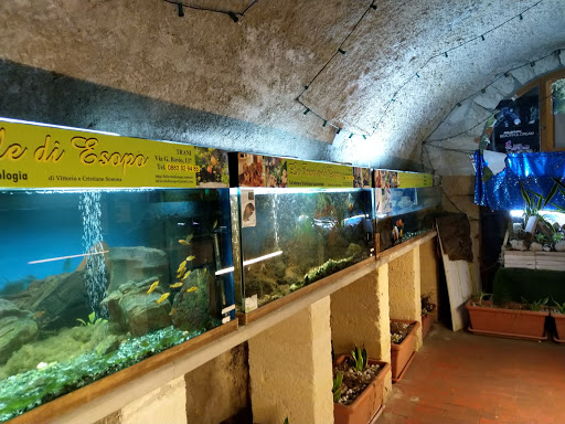 Mini Aquarium - Thumbnail