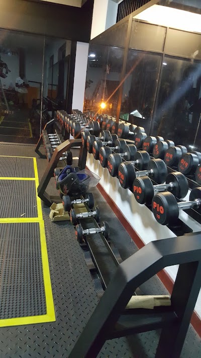 Photos of Fitness kingdom
