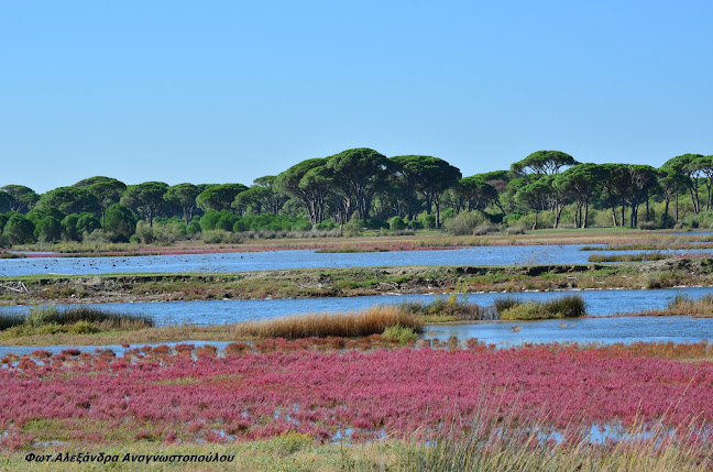 Εθνικό Πάρκο Κοτυχίου - Στροφυλιάς - Πάτρα
