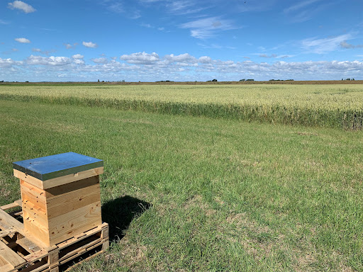 Bee Farming