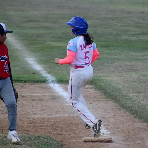 Linces Cancún Beisbol