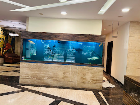 Af1qipoxzoeflycmu10wx44m Fvdoamvzni9qim Yhko=s451 K No