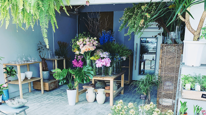 ILLYLANG (イルイラン)