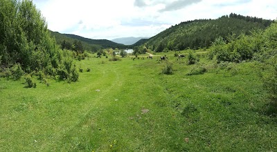 Photos of Şirinyazı G&ouml;leti Piknik alanı
