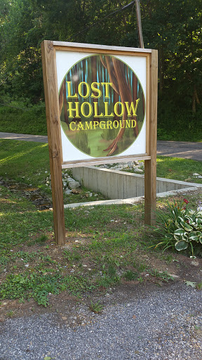 Lost Hollow - Visual