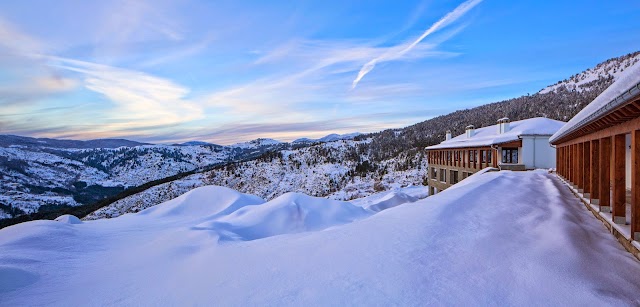 Grand Forest Metsovo