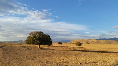 Photos of مسجد جامع روستای آبسرد