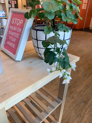 Lorimer Pharmacy - Visual