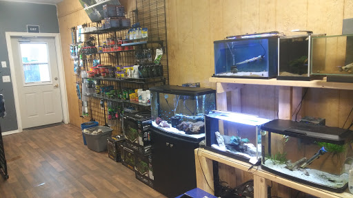 Serenity Aquariums LLC Gallery - United States