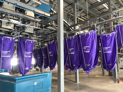 Cooperative Laundry - Visual