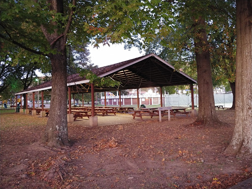 Bruce Park - Visual
