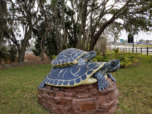 Cooter Pond Park - Thumbnail