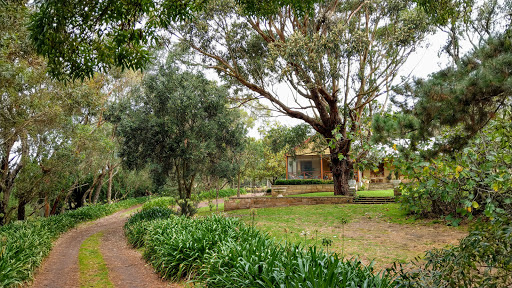 Secluded Homestead Amongst the Trees - Thumbnail