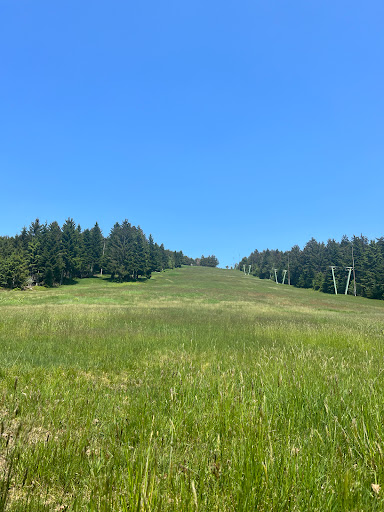 Bühlertallift Hundseck - Thumbnail