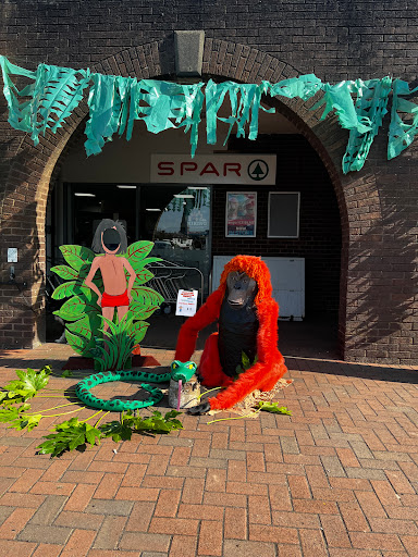 SPAR Tarleton - Visual