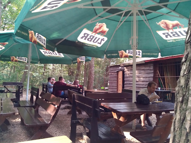 Bar piwny Leśny - Górna