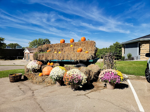 Cornerstone Nursery Gallery - United States