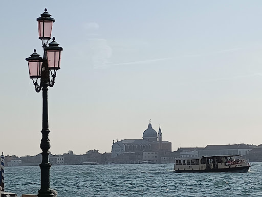Ambulatorio Veterinario Veneziano di Fabris Caterina e Ravera Davide