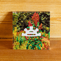 Photo n°29 de Bachué à Strasbourg (Restaurant latino-américain)