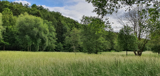 Parkplatz am Biotop Höllental