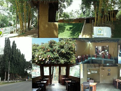 Photos of Bamboo Restaurant