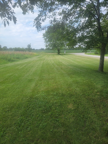 Nature's Finest Lawn Care