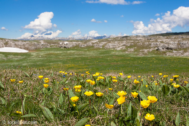 La Drôme Tourisme