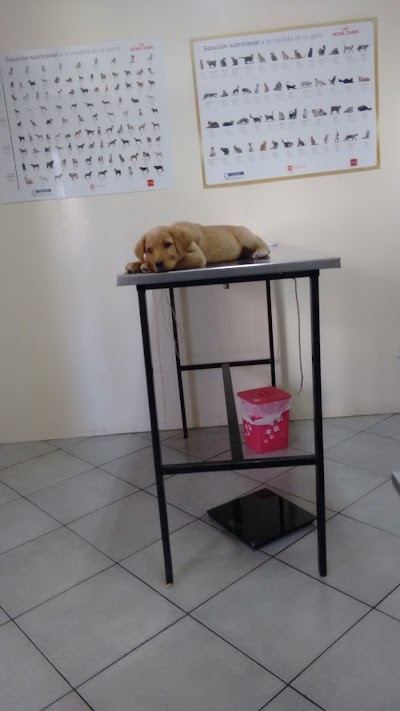 Photos of Veterinaria Norte