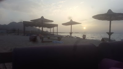 Photos of Laila Inn