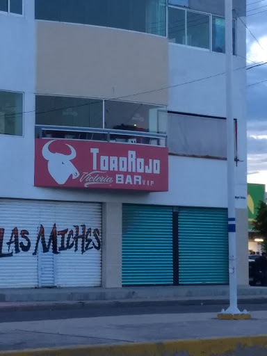 Bar Toro Rojo - Thumbnail
