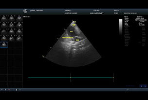 Photo n°39 de Anidoc' à Hautot-sur-Mer (Clinique vétérinaire)