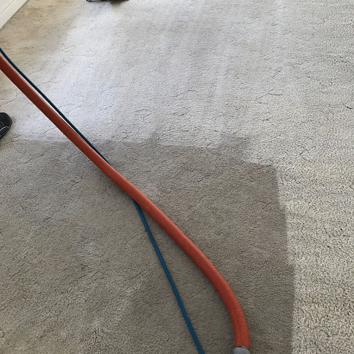 That Carpet Guy - Thumbnail