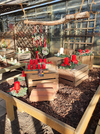 Wiesmoor Blumencenter Wiesmoor - Thumbnail