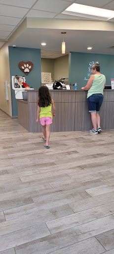 Highland Animal Hospital LLC Gallery - United States