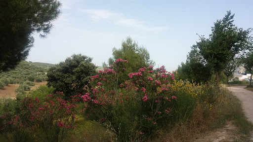 Quebradas Park - Visual