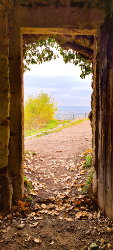 Florilegium, Däbler - Thumbnail