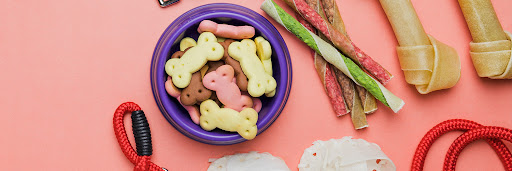 Petgazoo Pet Supplies