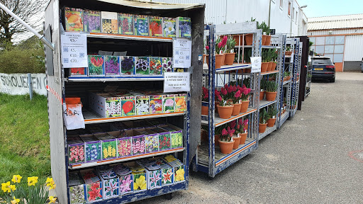 Holland Bolroy Markt BV Gallery - Netherlands
