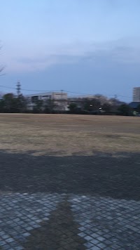 樫の木公園