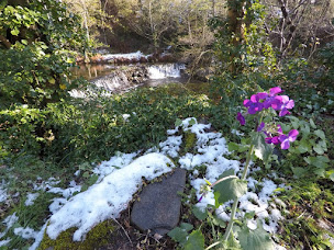Photo n°26 de Camping 3 étoiles Ardèche - Le Moulin de Gournier à Malbosc à Malbosc (Restaurant)