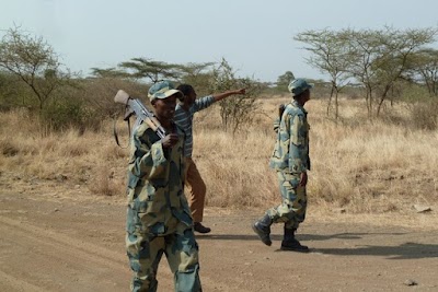 photo of Awash National Park