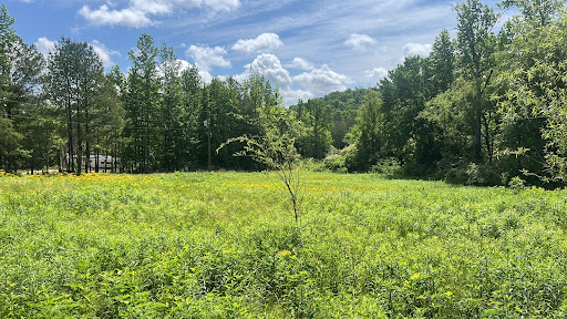 Berry Botanical & RV Campground Gallery - United States
